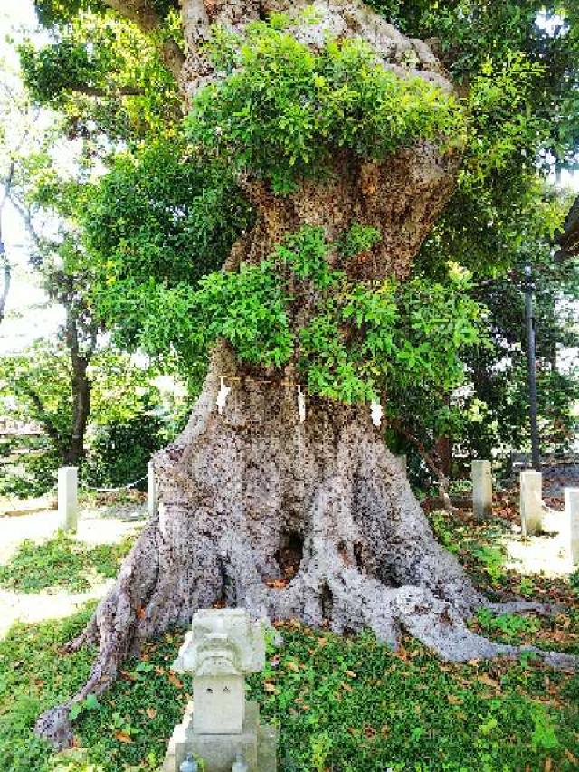 東京都町田市三輪町１９２５ 熊野神社（三輪熊野神社）の写真47