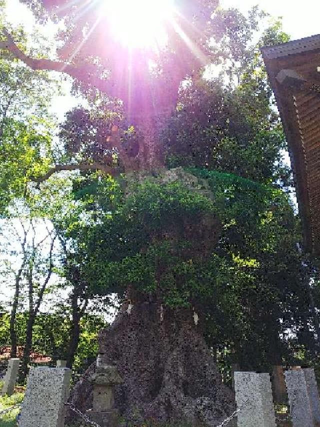 東京都町田市三輪町１９２５ 熊野神社（三輪熊野神社）の写真49