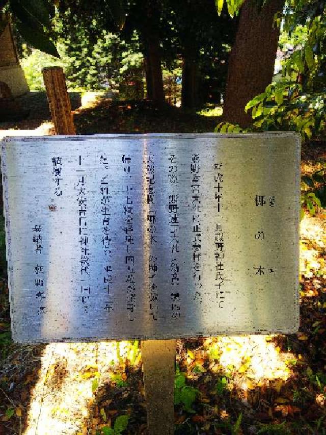 東京都町田市三輪町１９２５ 熊野神社（三輪熊野神社）の写真51