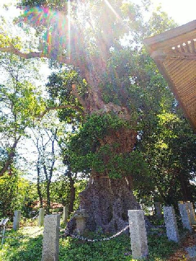 東京都町田市三輪町１９２５ 熊野神社（三輪熊野神社）の写真54
