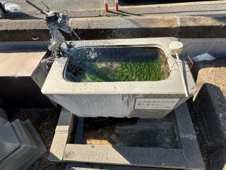 青龍神社の参拝記録(こーちんさん)