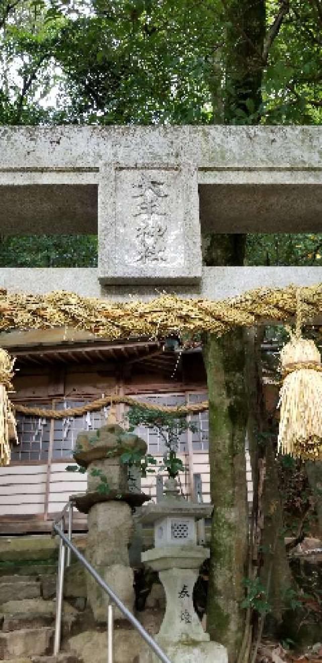 広島県安芸郡海田町東海田 大年神社の写真2