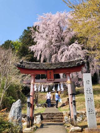 日枝神社の参拝記録(たけちゃ～ん⚾さん)