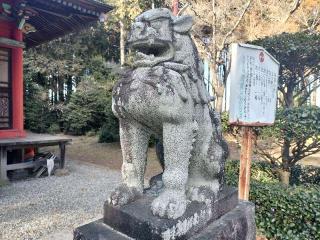 白髭神社の参拝記録(さとみさん)