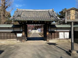 東叡山 寛永寺 輪王殿の参拝記録(スエさん)