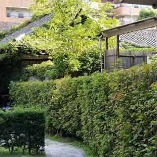 勝円寺　元去来苑の参拝記録(ふみにゃんさん)