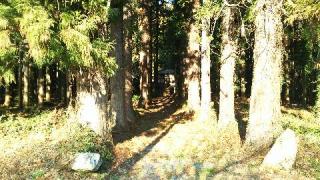 八坂神社の参拝記録(優雅さん)