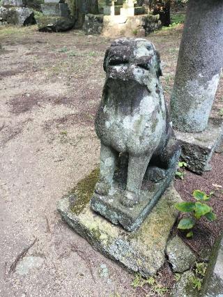 宇都宮神社の参拝記録(さとみさん)