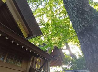 豊受大神宮 （神明社摂社）の参拝記録(ひーさん)