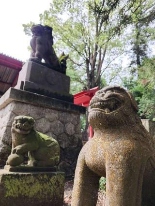 岩崎八幡宮の参拝記録(たけちゃ～ん⚾さん)