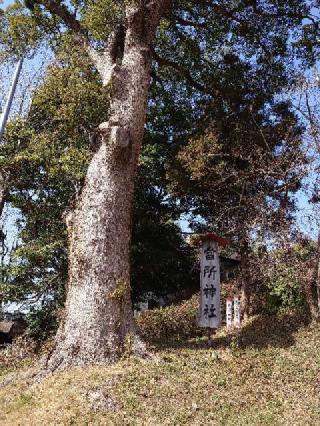 當所神社の参拝記録(トモさん)