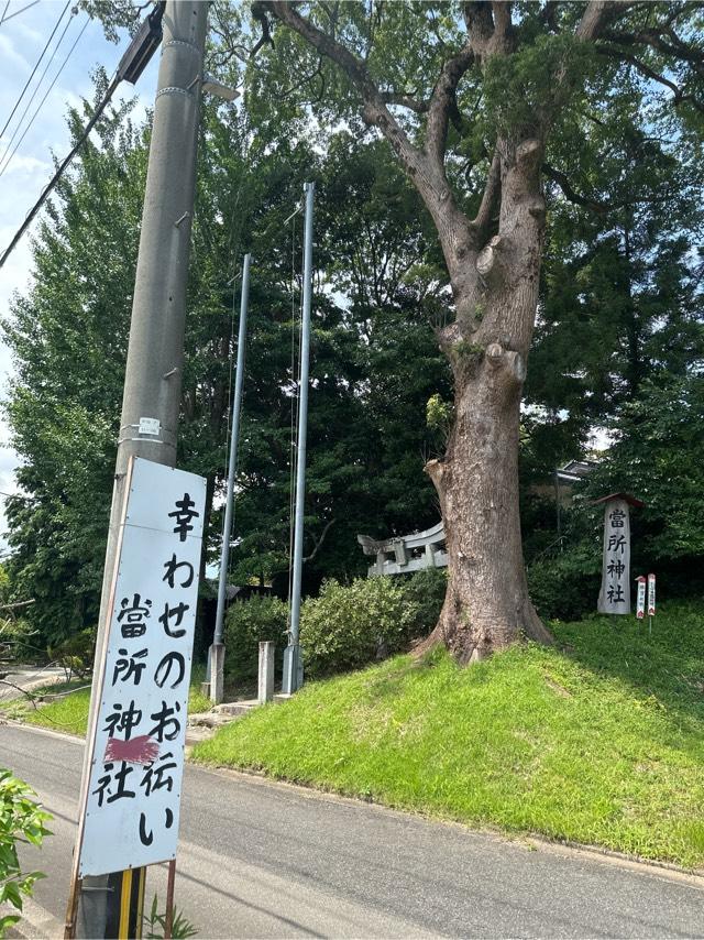 當所神社の参拝記録6