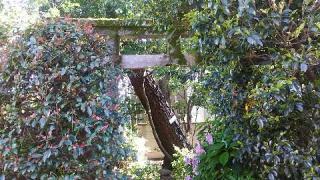 諏訪神社の参拝記録(miyumikoさん)