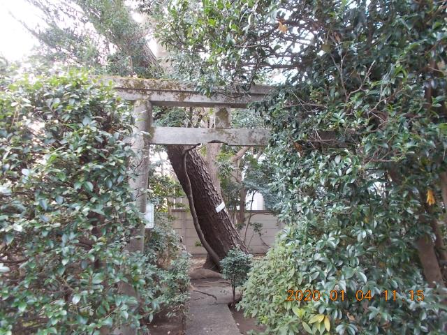 東京都世田谷区喜多見3-20 諏訪神社の写真3