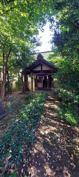 諏訪神社の参拝記録(まーぼーさん)