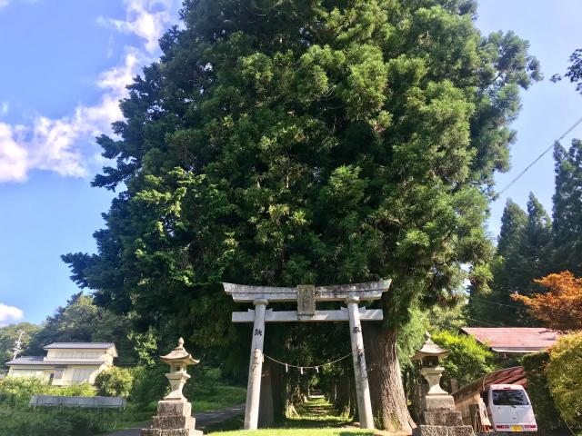 浪合神社の参拝記録(じゃすてぃさん)