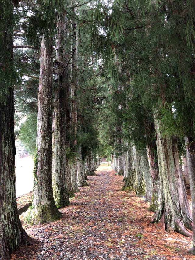 長野県下伊那郡阿智村浪合宮の原581 浪合神社の写真2