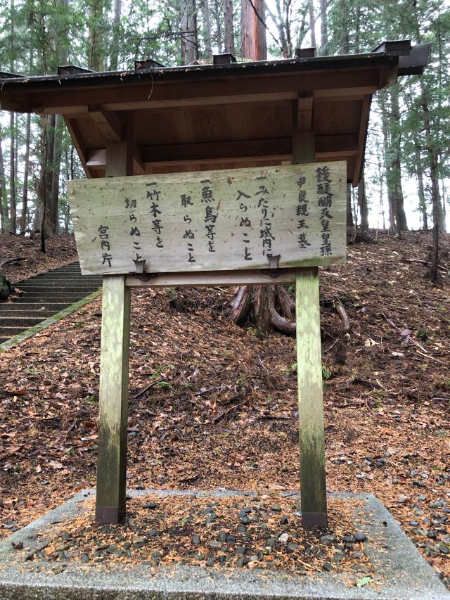 長野県下伊那郡阿智村浪合宮の原581 浪合神社の写真6