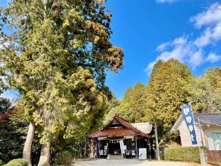 伊勢神社の参拝記録(じゃすてぃさん)
