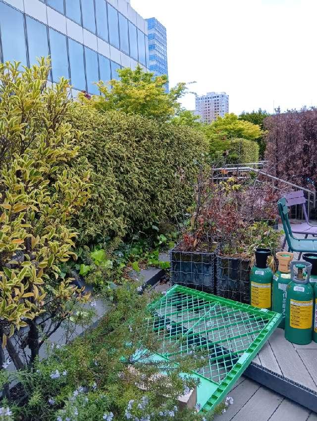 伏見稲荷神社の参拝記録3