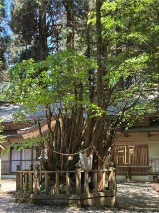 幣立神宮(日の宮)の参拝記録(KUMIKOさん)