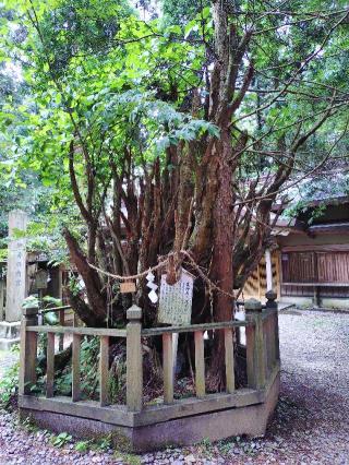 幣立神宮(日の宮)の参拝記録(なぬなぬさん)