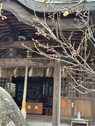 老松神社の参拝記録(みほさん)