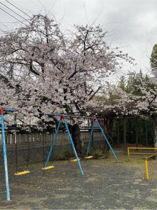老松神社の参拝記録(みほさん)