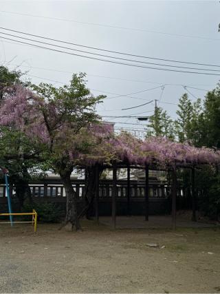 老松神社の参拝記録(みほさん)
