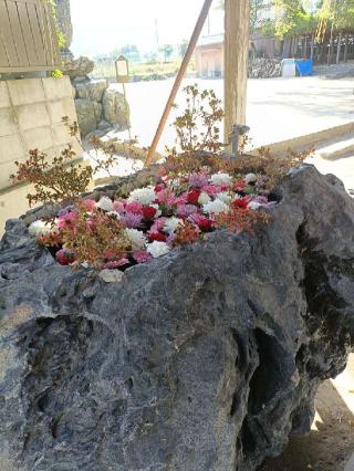 住吉神社の参拝記録(ゆみねえさん)