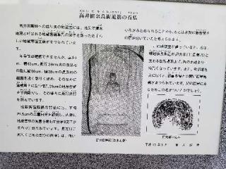 高井田地蔵尊の参拝記録(ふみにゃんさん)