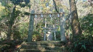 染井神社の参拝記録(5番ピンのヨシマルさん)