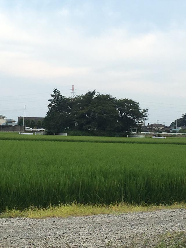 浅間神社の参拝記録3