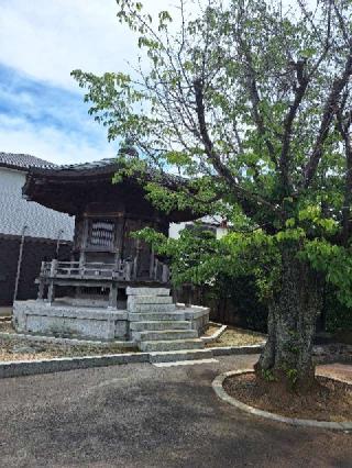 頂興山 真隆寺の参拝記録(まーさんさん)