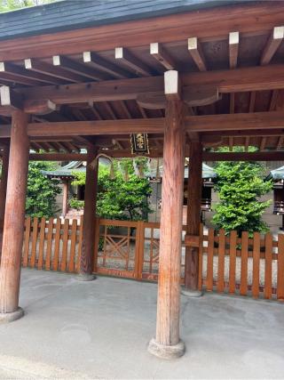 天満宮（坐摩神社境内社）の参拝記録(⛩️🐍🐢まめ🐢🐍⛩️さん)