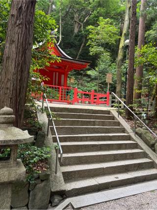 若宮社(枚岡神社摂社)の参拝記録(⛩️🐍🐢まめ🐢🐍⛩️さん)