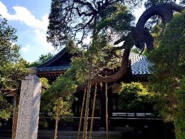 千葉県松戸市小金359-1 仏法山 東漸寺の写真5