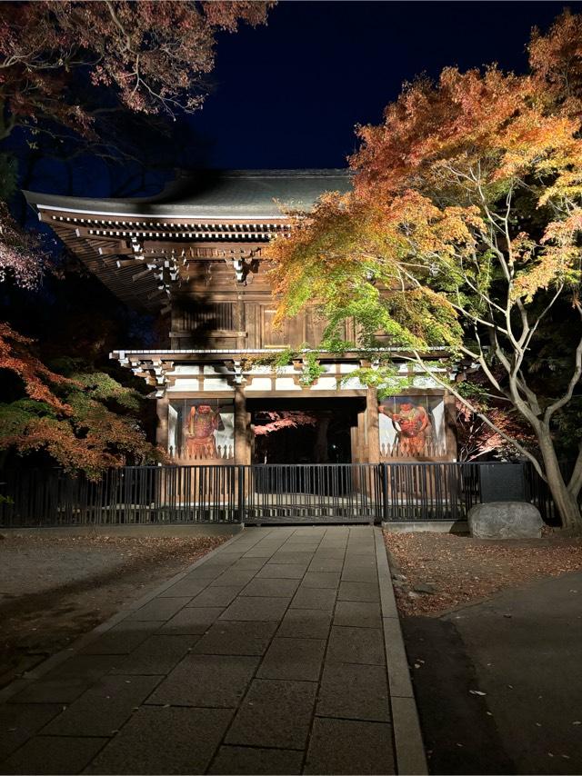 仏法山 東漸寺の参拝記録10