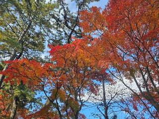 仏法山 東漸寺の参拝記録(くれないあたるさん)