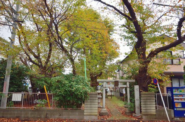 神奈川県相模原市中央区横山台2-16-9 榎神社の写真3