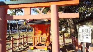 拍子神社の参拝記録(ひろ神社仏閣さん)