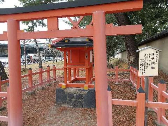 拍子神社の参拝記録1