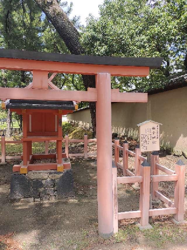 拍子神社の参拝記録7