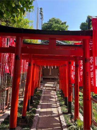 小市郎稲荷社（天祖神社境内社）の参拝記録(⛩️🎠🐢まめ🐢🎠⛩️さん)