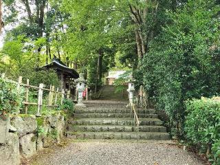 白和瀬神社の参拝記録(さとみさん)