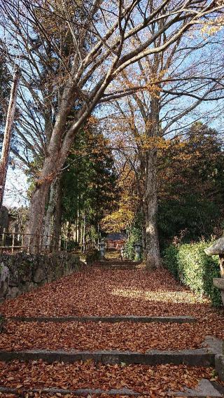 白和瀬神社の参拝記録(まっくさん)