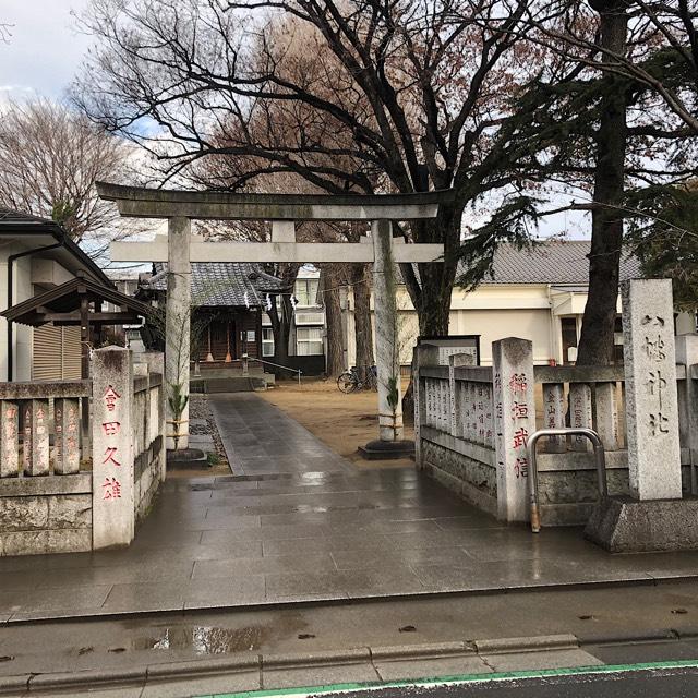 鎌倉八幡神社の参拝記録6