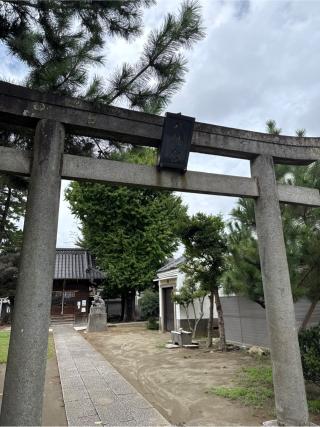 三谷八幡神社の参拝記録(⛩️🐍🐢まめ🐢🐍⛩️さん)