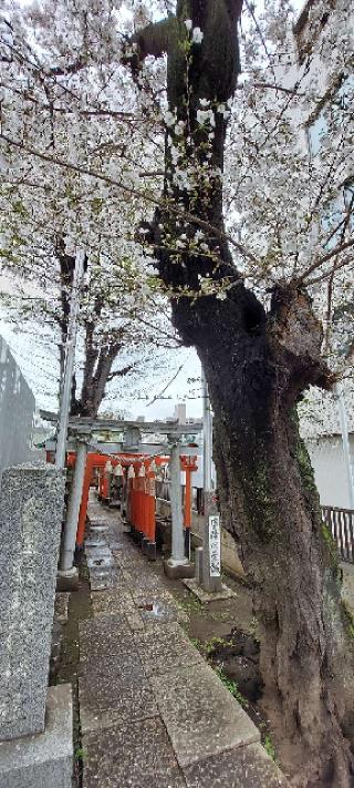 倉屋敷稲荷神社の参拝記録(まーぼーさん)