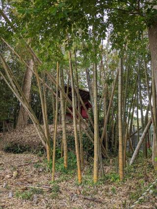 十倉香取神社の参拝記録(はしどいさん)